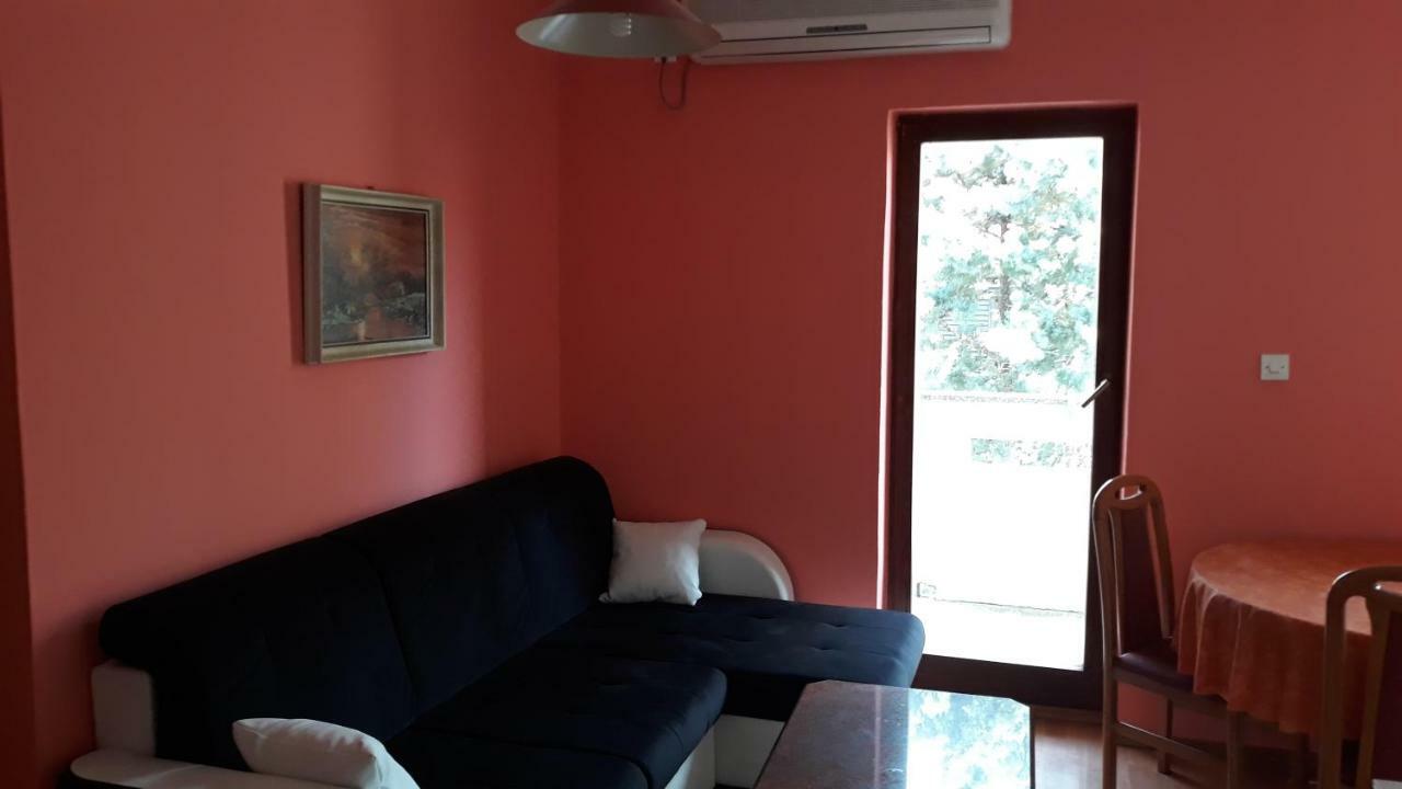 פונאנט Apartmani Vukovic מראה חיצוני תמונה
